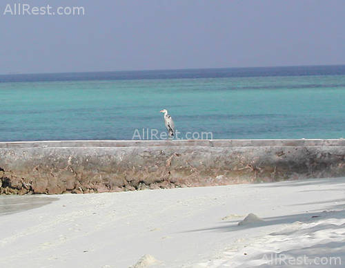 Giravaru Tourist Resort 9
